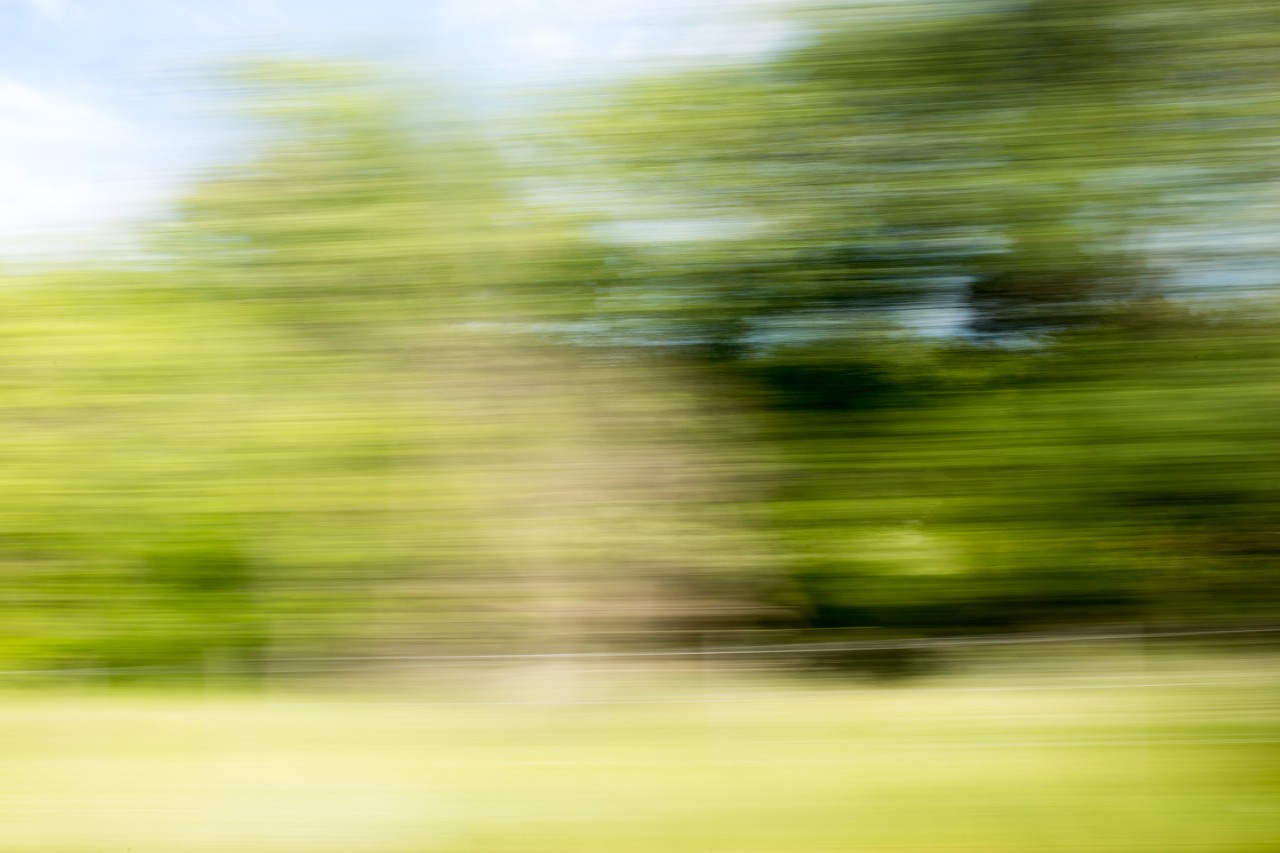 Blur Blurry view of trees passing by on the side of the road through the window of a moving vehicle