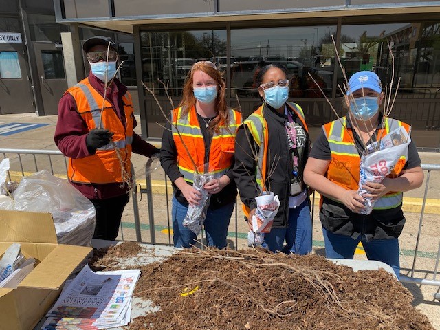 Four workers in orange vests and masks prepare to plant trees at Arlington Assembly