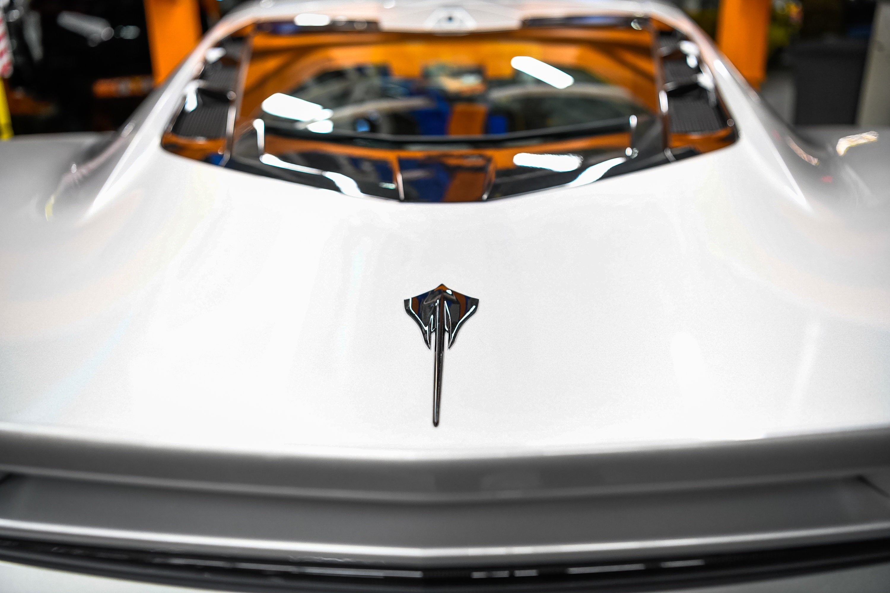 Sting ray trunk ornament on white corvette
