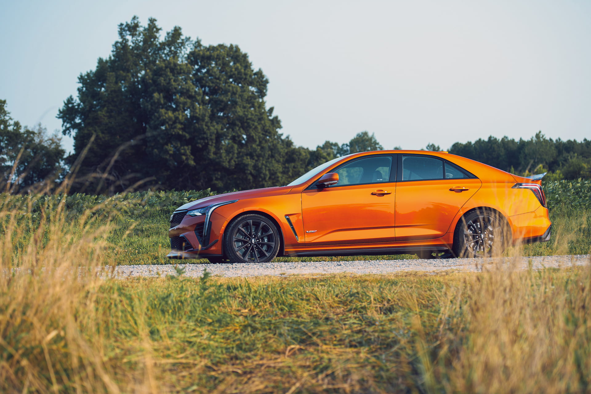 Orange 2022 Cadillac CT4-V Blackwing on rural road surrounded by long grass and trees